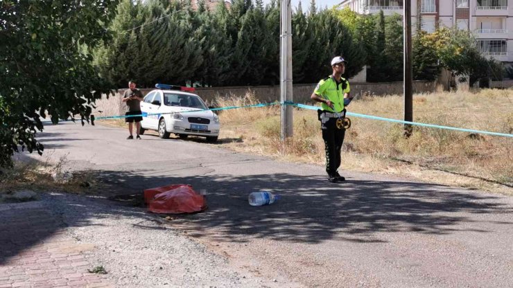 Geri geri gelen kamyonun ezdiği yaşlı kadın öldü