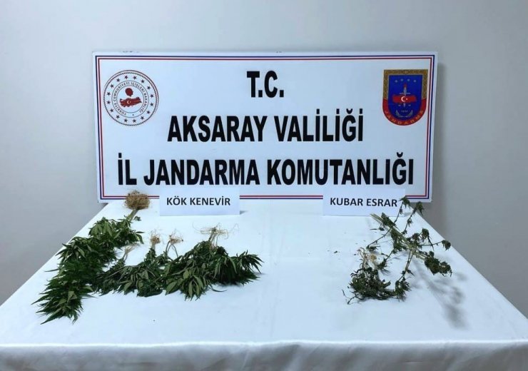 Aksaray’da 2 köyde uyuşturucu operasyonu: 1’i kadın 2 gözaltı