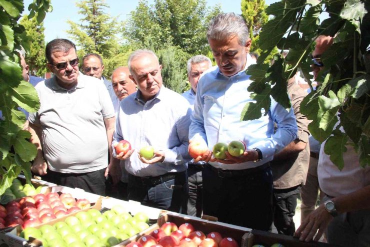 Türkiye’nin elma deposu Karaman’da hasat başladı