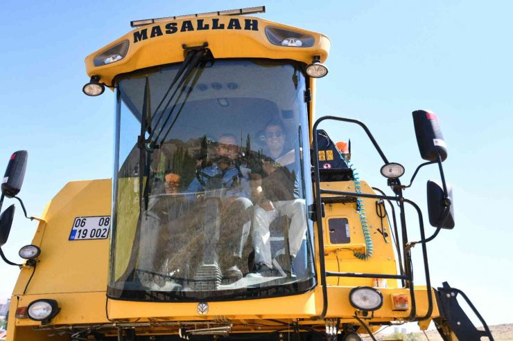 Pursaklar’da mercimek ve nohutların hasat zamanı