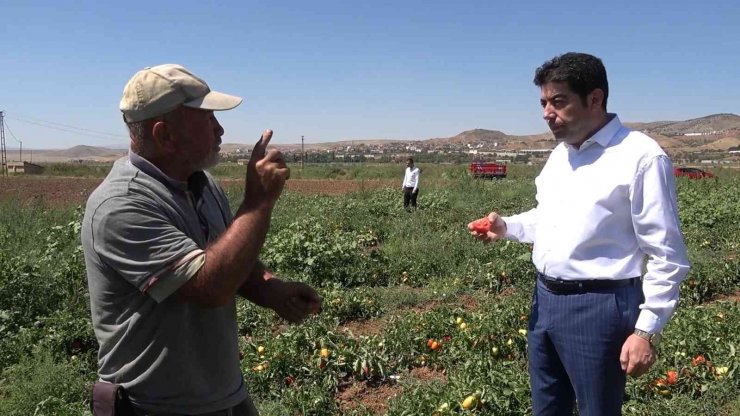 İşçi bulamayan üretici: "İyi ki mülteciler var"