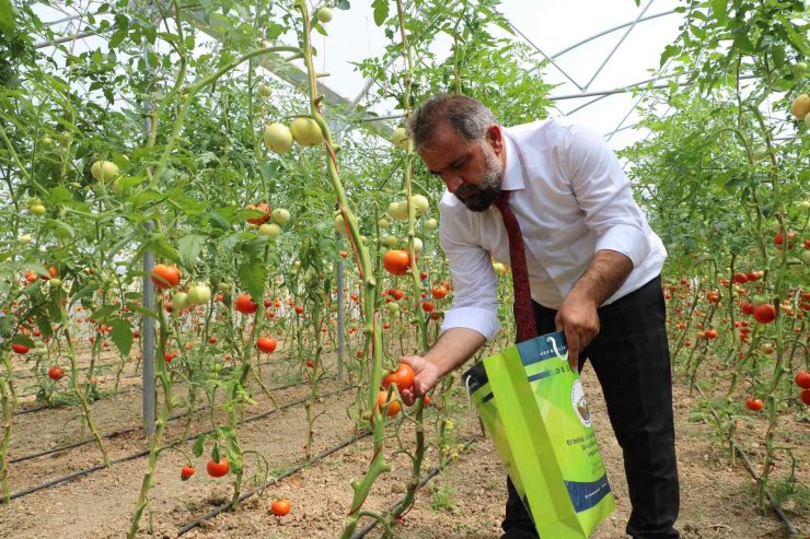 Kadın girişimci, devlet desteğiyle kurduğu serayla aile bütçesine katkı sağlıyor