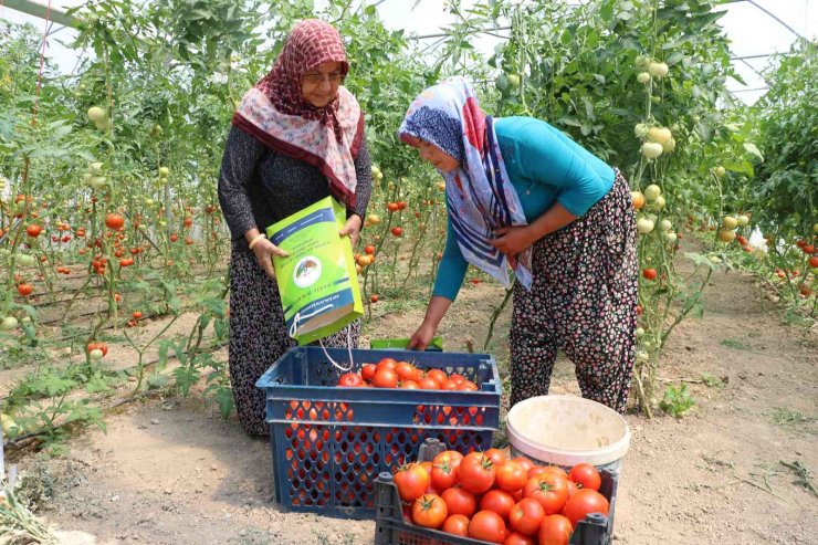 Kadın girişimci, devlet desteğiyle kurduğu serayla aile bütçesine katkı sağlıyor