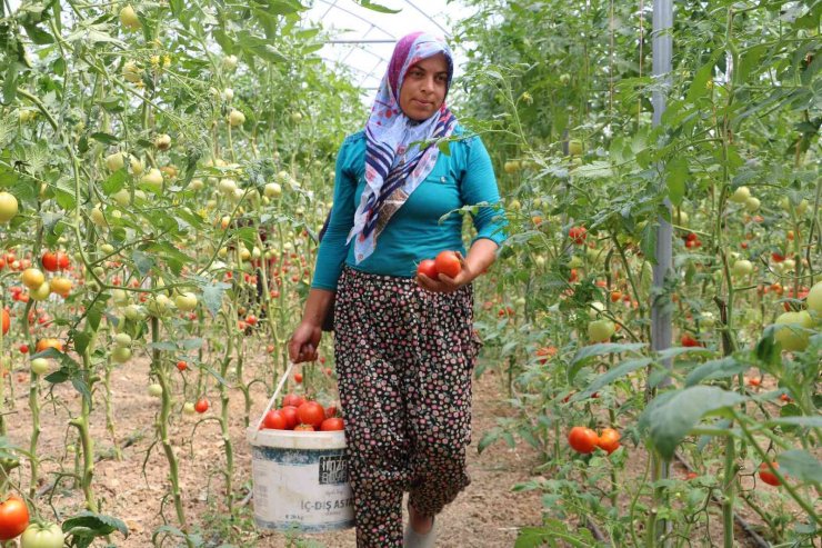 Kadın girişimci, devlet desteğiyle kurduğu serayla aile bütçesine katkı sağlıyor