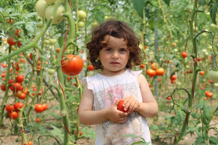 Kadın girişimci, devlet desteğiyle kurduğu serayla aile bütçesine katkı sağlıyor