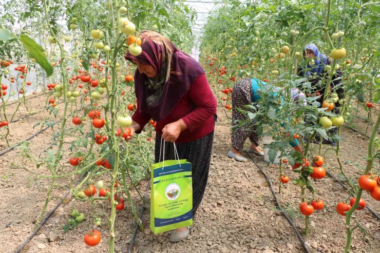 Kadın girişimci, devlet desteğiyle kurduğu serayla aile bütçesine katkı sağlıyor