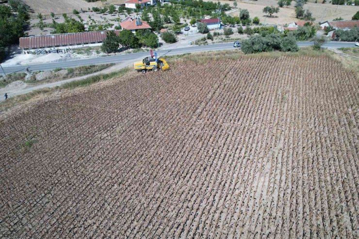 Kahramankazan Ovası’nı sarıya boyayan ayçiçeğinde hasat başladı