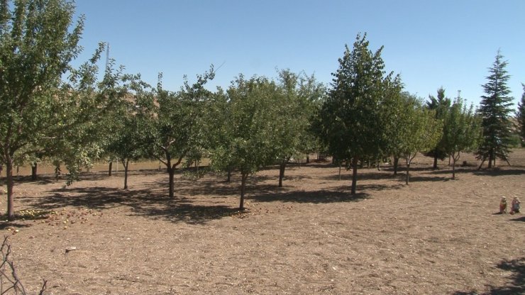 Sincan OSB’de arazi kavgası