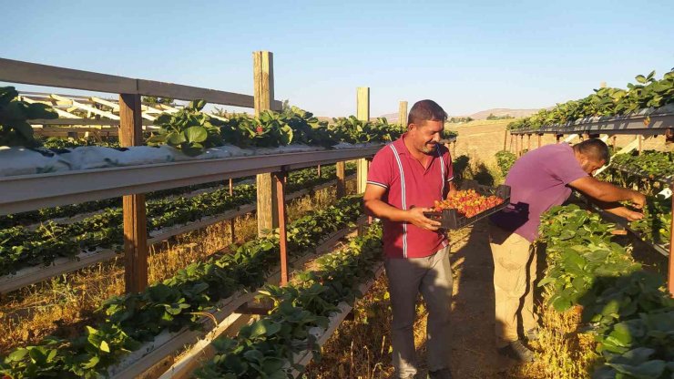 Üretime kat attı, bir dikti üç aldı