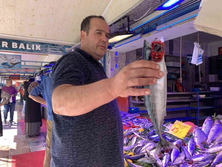 Tezgahlar palamutla doldu taştı, vatandaş yoğun ilgi gösterdi