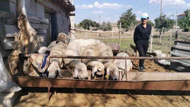 Genç kız kendisine alışamayan koyunlar için babası gibi giyinip türküler söylüyor