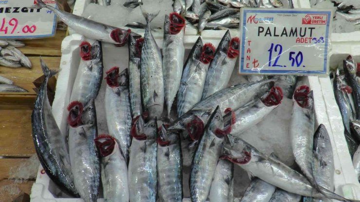 Palamut fırtınası Kayseri’de de esiyor