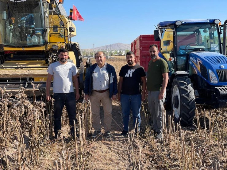 İlk defa ekildi, beklenenin üzerinde verim alındı