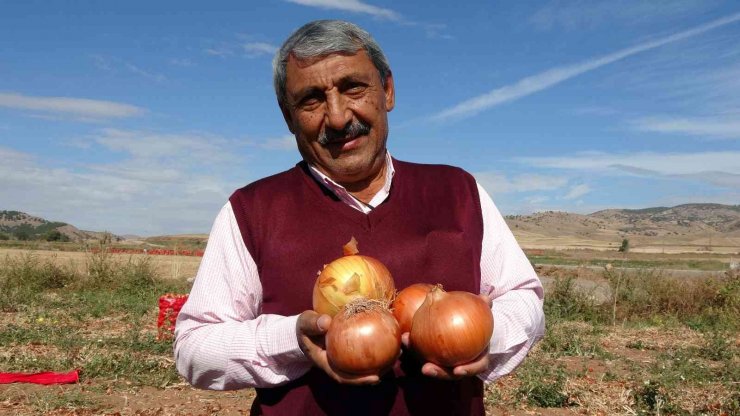 Soğan rekoltesi ve fiyatıyla üreticinin yüzünü güldürdü