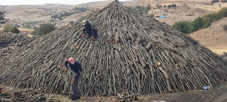 Mevsimlik işçilerin zorlu mangal kömürü mesaisi sürüyor