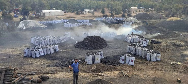 Mevsimlik işçilerin zorlu mangal kömürü mesaisi sürüyor