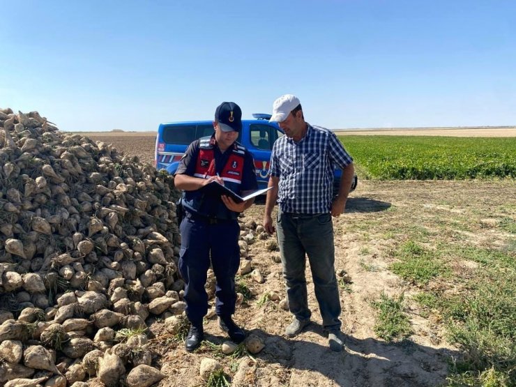 Aksaray jandarma hırsızlığa karşı tarım arazilerinde