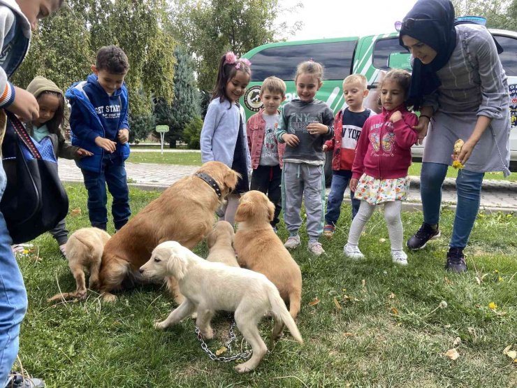 Hayvanlar HAYDİ polisleriyle korunuyor