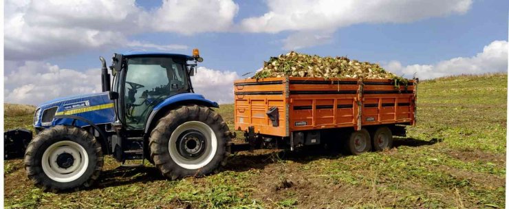 Pancar rekoltesi üreticinin yüzünü güldürdü