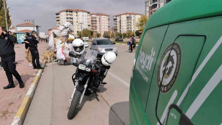 Köpekleri çuvala koydu, müdahale eden polise saldırdı