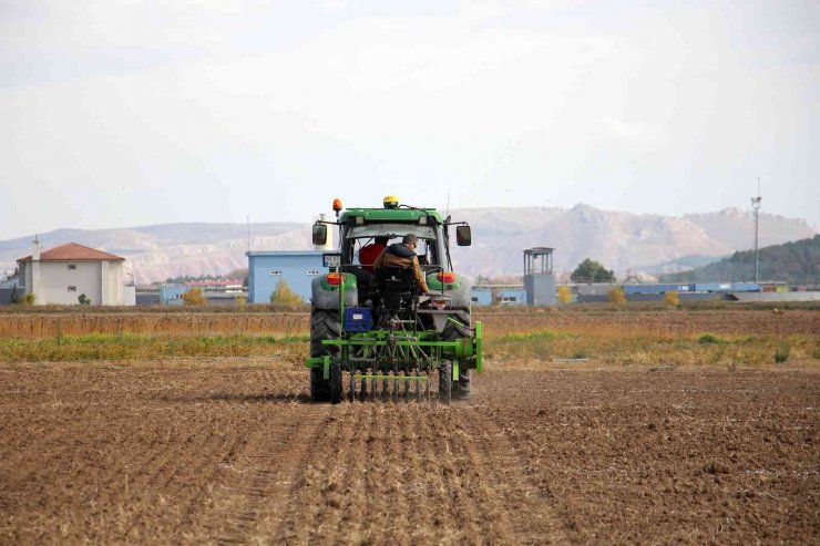 Bilim tarlasında bin 500 farklı buğday genotipi tohumu toprakla buluştu