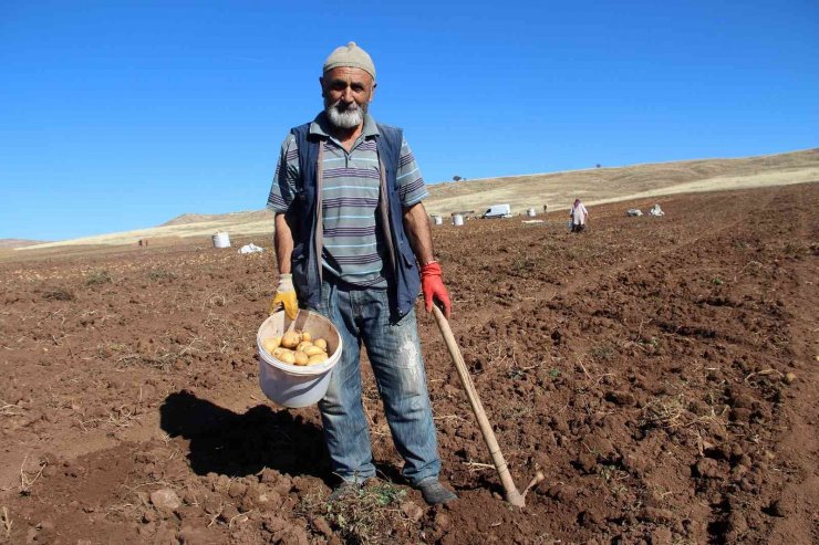 Hasat sonrası akına uğradı, kışlık patates ihtiyaçlarını ücretsiz elde ettiler