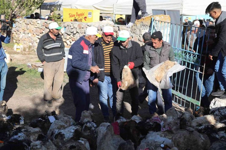 Konya Büyükşehir Kızılören’de mağaradan peynir çıkarma geleneğini yaşatıyor