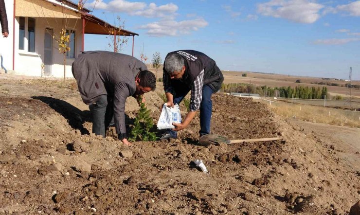 Sebze ve meyve atıklarından yıllık 400 ton organik gübre üretiliyor