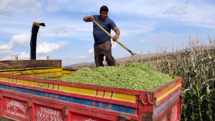 Yozgat’ta yem bitkisi üretiminin artırılması amaçlanıyor