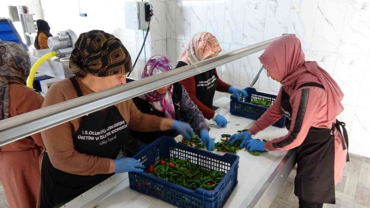 Yozgat’ta kadınlar, daha önce evlerde ürettikleri turşunun seri üretimine geçti