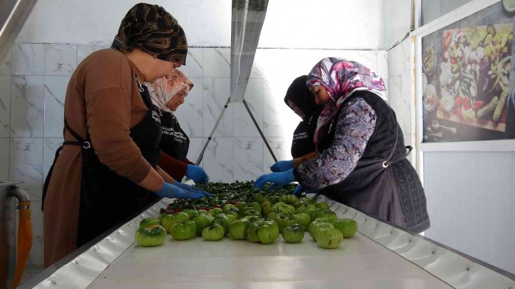 Yozgat’ta kadınlar, daha önce evlerde ürettikleri turşunun seri üretimine geçti