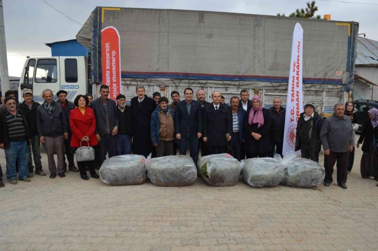 Hüyük’te üreticilere 170 bin adet lavanda fidesi dağıtıldı