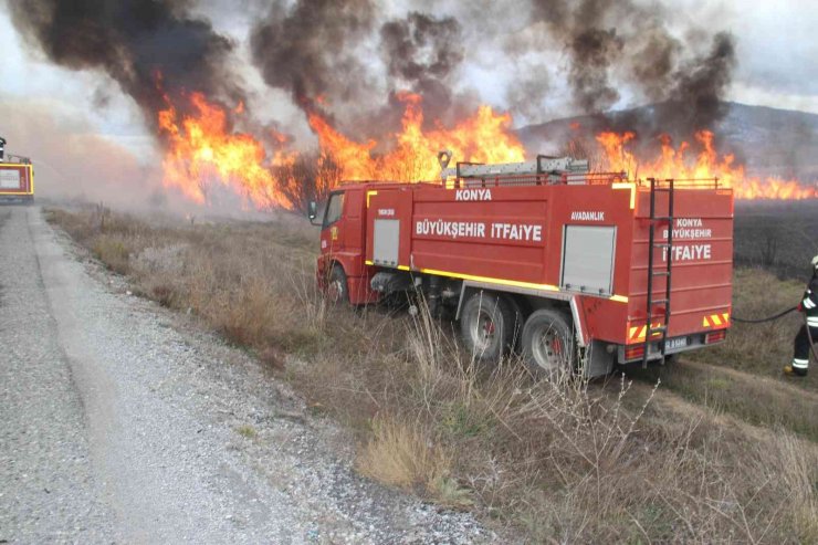 Beyşehir Gölü kıyısındaki sazlıklar alevlere teslim oldu