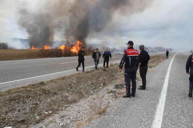 Beyşehir Gölü kıyısındaki sazlıklar alevlere teslim oldu