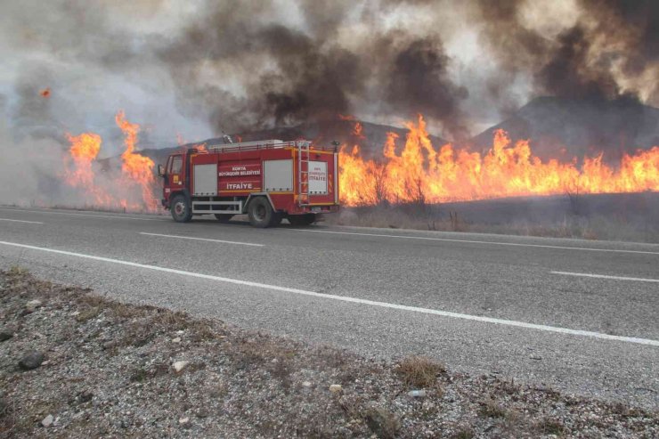 Beyşehir Gölü kıyısındaki sazlıklar alevlere teslim oldu