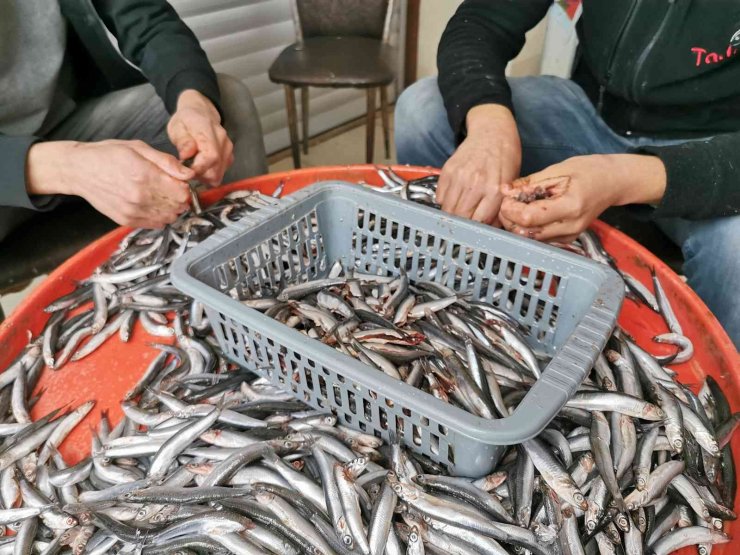 Aksaray’da evde balık temizleme ve pişirme derdine son