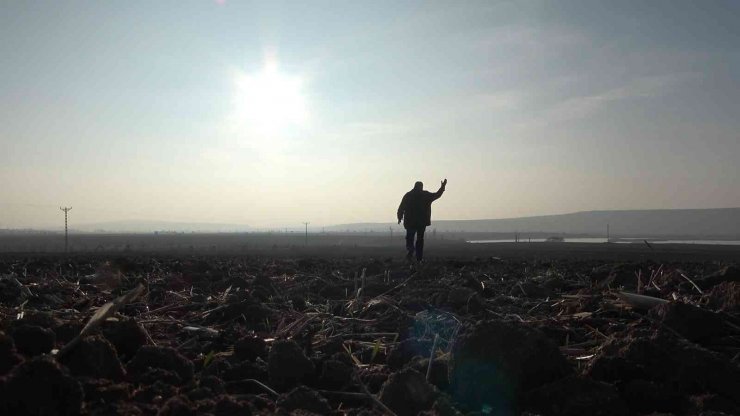 Çiftçiyi tedirgin eden tehlike: Kuraklık toprağı taş gibi yaptı