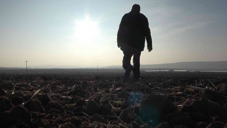 Çiftçiyi tedirgin eden tehlike: Kuraklık toprağı taş gibi yaptı