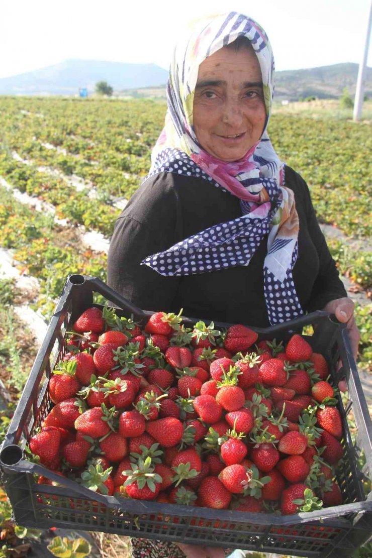 Hüyük’ün lezzeti tescil yolunda