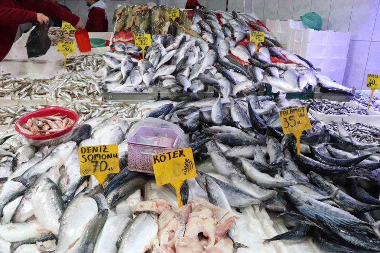 Karadeniz’deki fırtına balık avını aksattı, tezgahlar buzhane balıklarına kaldı