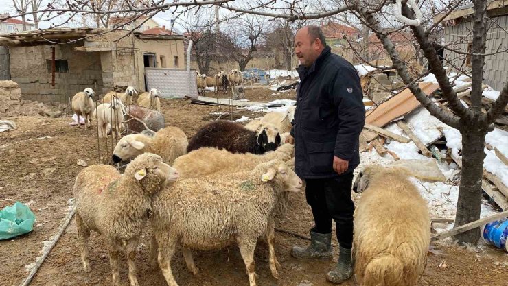 Kulu’da küçükbaş hayvan sahiplerinden depremzedeler yardım