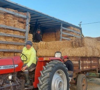 Deprem bölgesine saman ve yem gönderildi