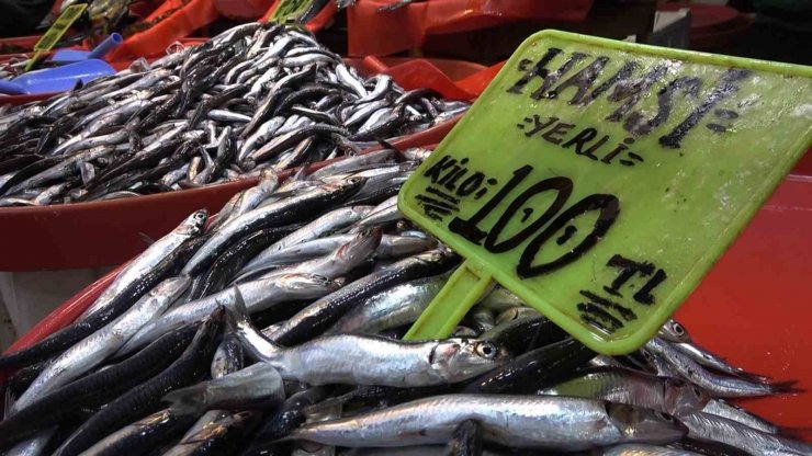 Balıkçılar Marmara’da hamsi avcılığının durdurulmasından memnun