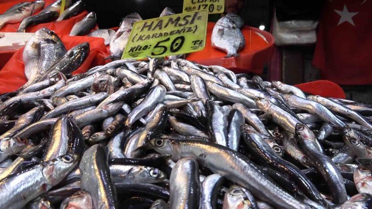 Balıkçılar Marmara’da hamsi avcılığının durdurulmasından memnun