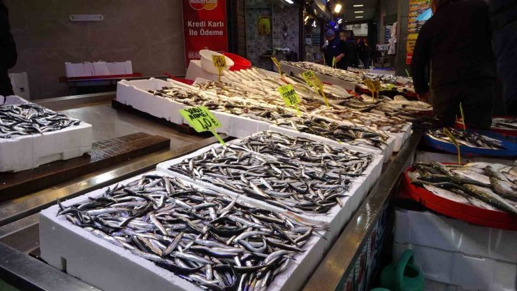 Trabzon’da balık av sezonu sonuna doğru tezgahlarda çeşit bolluğu