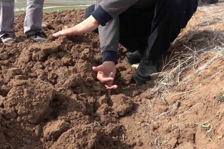 Olağanüstü kuraklık çiftçiyi tedirgin etti: "Canımız tarlaya gitmek istemiyor"