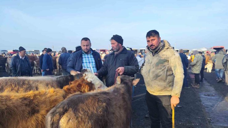 Şap tehdidi Türkiye’nin en büyük hayvan pazarında yoğunluğu artırdı