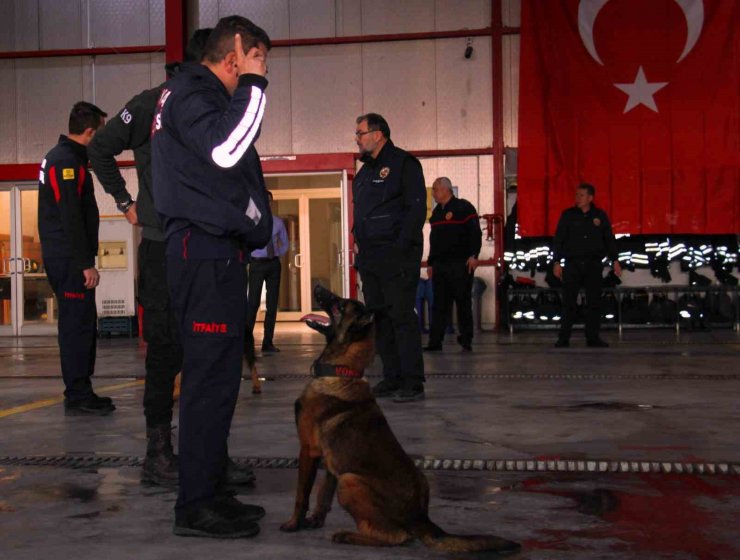 İtfaiye erinin eğittiği arama kurtarma köpekleri 18 kişinin hayatına dokundu