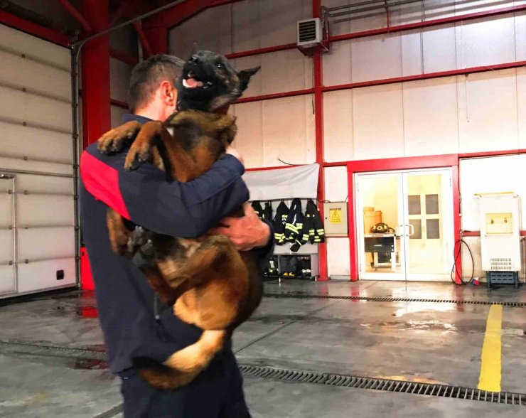 İtfaiye erinin eğittiği arama kurtarma köpekleri 18 kişinin hayatına dokundu