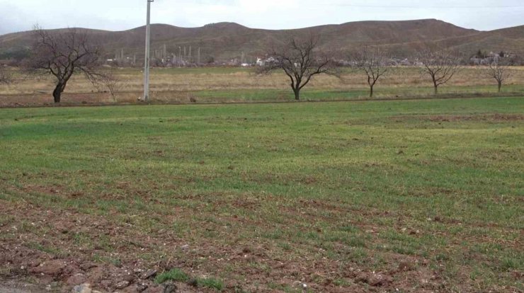 Aksaray’daki yağmur yağışı üreticilerin yüzünü güldürdü